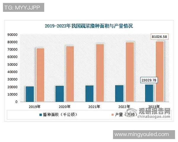 广州排球队速度表现与欧冠足球数据分析的深度探讨 广州排球队速度表现与欧冠足球数据分析的深度探讨