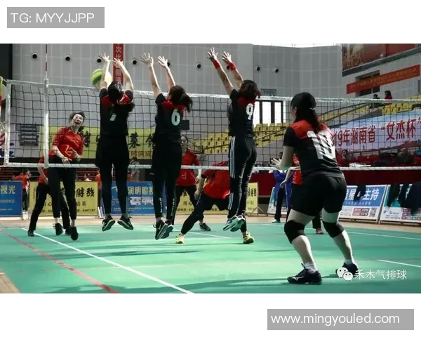 运动最新数据排球新手必看快速入门攻略助你轻松掌握基本技巧与战术